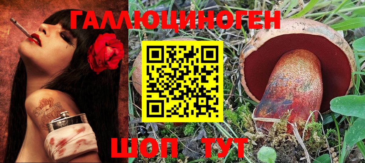 где купить наркотик  Вход с VPN  Ипатово  Галлюциногенные грибы Psilocybe  Галлюциногенные грибы Psilocybe 