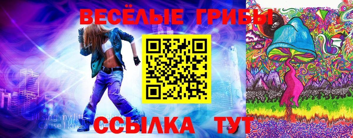 Галлюциногенные грибы Psilocybine cubensis Ипатово